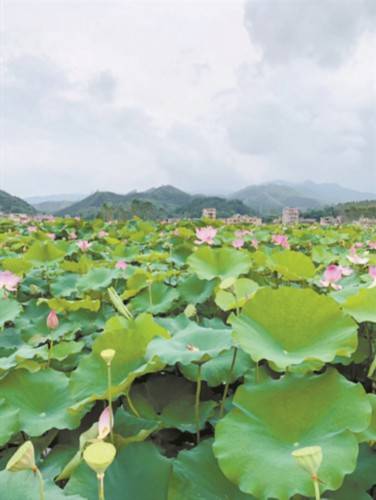 夏日避暑 躲入深山纳凉