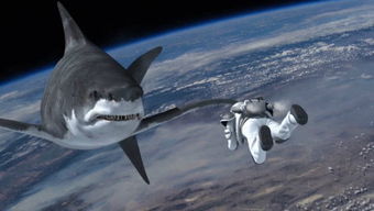 鲨鱼学会在太空生活,宇航员在太空与鲨鱼战斗,一部搞笑动物电影