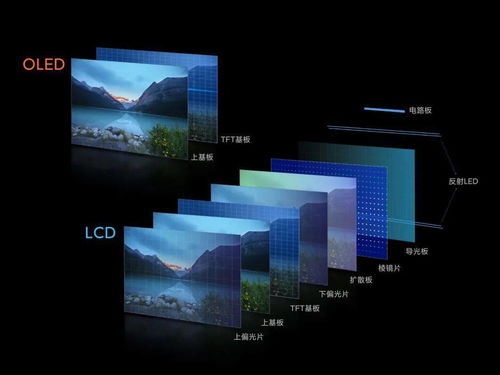 oled lcd(lcd和oled的区别)