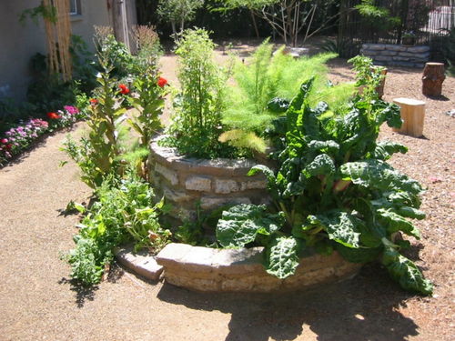 门前10㎡小院捯饬捯饬,拉车红砖砌个螺旋形花坛,准备种花种菜