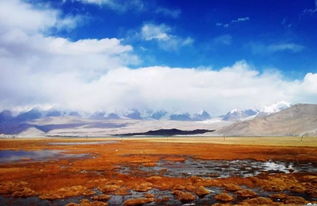 在新疆玩过三个多月,向你推荐南疆不可错过的景点和自由行路线