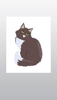 西伯利亚猫图片素材 西伯利亚猫图片素材下载 西伯利亚猫背景素材 西伯利亚猫模板下载 我图网 