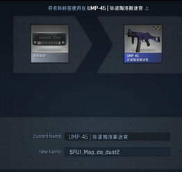 在csgo上怎么用名称标签改中文 