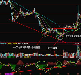 怎样用MACD的底背离去搜索股票？