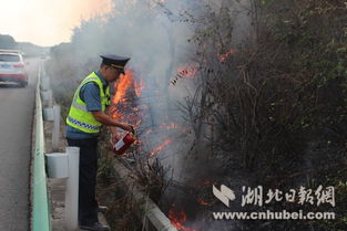 男子高速路边坡点火 上瘾 路政养护及时灭火 