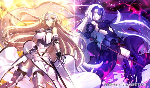 Fatego黑贞德壁纸2 图片欣赏中心 急不急图文 Jpjww Com