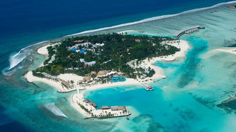 马尔代夫康杜玛岛浮潜级别有哪些（马尔代夫杜妮可鲁岛）