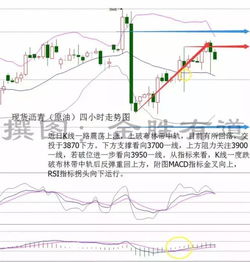 现货沥青行情图怎么看？