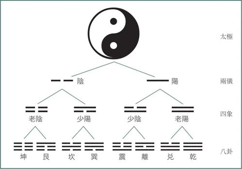 为什么我敢说,中国五行审美领先世界几千年 