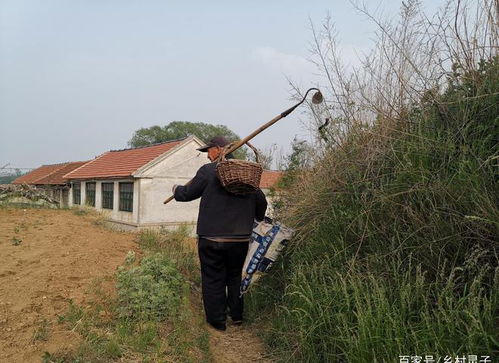 农村一些六十岁以上老人有退休金,为啥还在种地