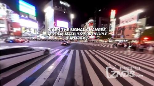 VR全景视频 迷失在全球最大的十字路口中央