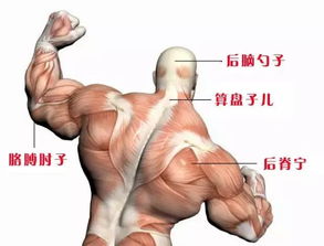 原来你是这样的围场人 惊掉我下巴磕子了 