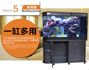 子弹头鱼缸水族箱大型 超白玻璃1.2米屏风鱼缸 闽江鞋柜隔断鱼缸