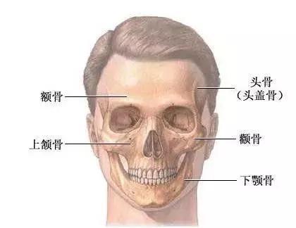 46岁的俞飞鸿美过20岁,到底什么样的脸比较抗老