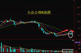 大众公用13.7买入后市如何操作