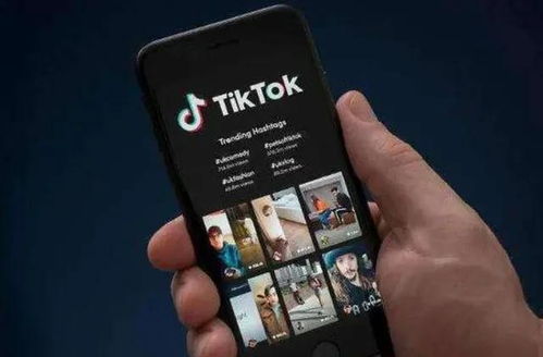 Tik Tok账号如何快速涨粉_TikTok账号增加播放量