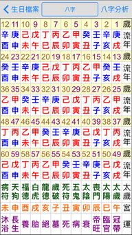 星侨八字app下载 星侨八字手机版下载 手机星侨八字下载 