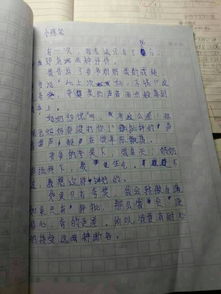 关于父母的爱的作文开头用诗句