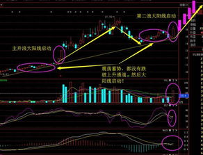 最后3分钟价格会变动的股票是什么数字打头的