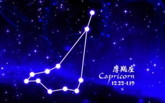 12月28号是什么星座 