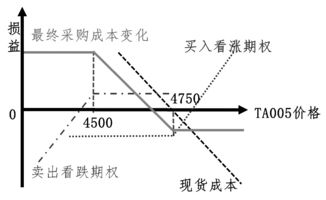 企业只有在对购入期权进行套期时，签出期权才可以作为套期工具，怎么理解这句话