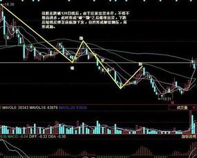 明知道做股票要赔钱 、、、但是为什么有那么多人去做