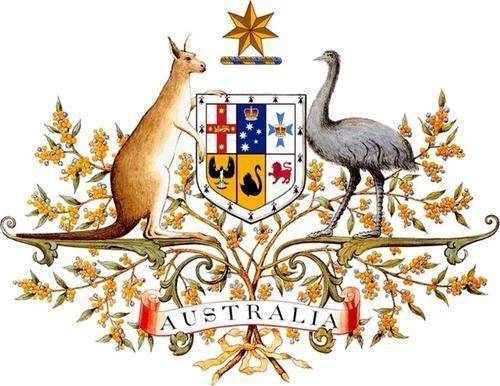 鸸鹋 2次击败皇家炮兵团,横扫澳洲9年,如今却成澳大利亚国鸟
