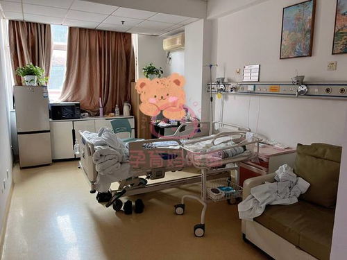 2024北京大学第三医院生娃体验：无痛导乐有吗？病房环境好吗？家属能陪护吗？
