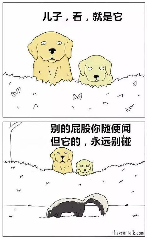 猫到底在叽叽歪歪地说什么 有个漫画家帮你翻译了一下