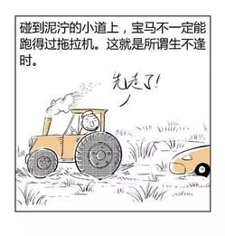 许多年以后终于有人把八字 风水 阴阳 五行讲明白了 漫画好懂版