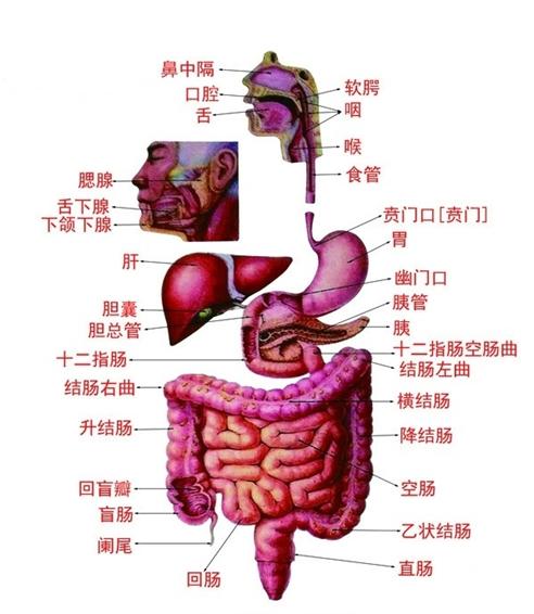 关于葡萄胎的防治问题