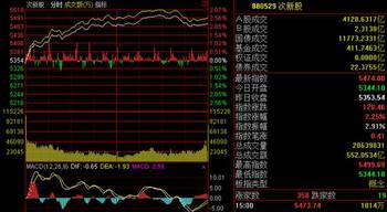 现在买什么股票能赚到？