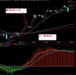 东方甄选：粉丝数下跌股价下探，再次面临考验