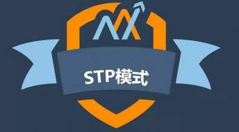 stp营销方案模板