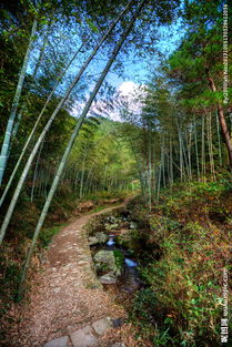 衢州九华山图片 