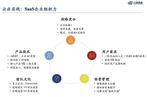 跪求大神讲讲什么是saas，有saas做的好的企业吗？