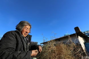 图片故事 拾荒老人廉桂芝 