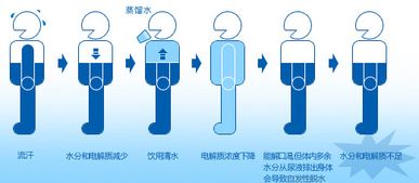 Dry爆的办公室 宝矿力水特赠你补水技巧 