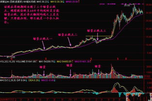 股票量能怎么看 五种量能形态的相关解析