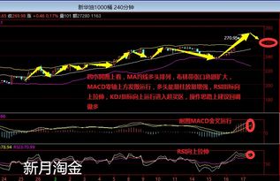 现货投资交易法则有哪些