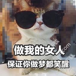 不开心橘猫撩妹系列表情 橘猫撩妹表情包9枚高清版下载无水印 比克尔下载 