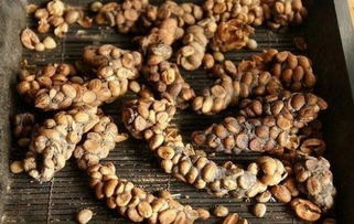 印度尼西亚旅游咖啡印尼咖啡豆排行榜（印度尼西亚最核心的咖啡产区）