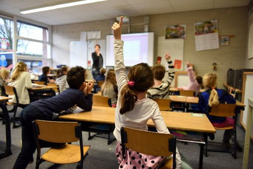 小学教育自考专科学历提升如何报名条件和流程是什么