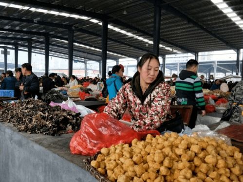 湘西泉州农贸市场牛市交易中心小黄牛在哪怎么去