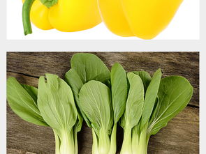 多种蔬菜素材蔬菜集合蔬菜大全高清摄影图图片设计 模板下载 67.03MB 饮品美食大全 
