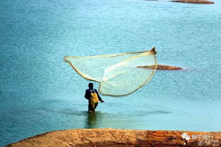 福建厦门1590起纯玩0购物 安排鱼排海钓,游电影 左耳 拍摄地南门湾