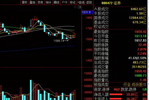 大盘今后的走势怎样？炒全证该注意什么，如何操作？