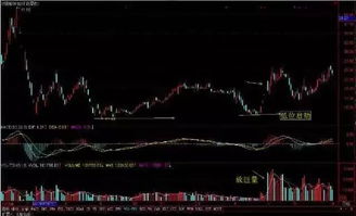 最近想学炒股但是不知道怎么入门求高手赐教