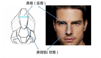 美是窄门 避免假体感的鼻梁修容法