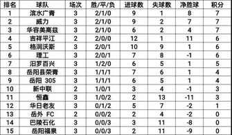 业余足球队队费收取说明,业余足球队队费收取说明范文